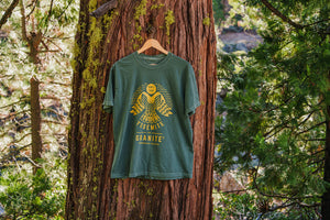 Peregrine - Blue Spruce